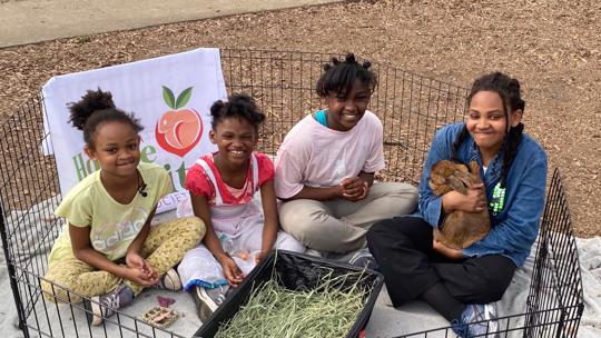Decatur dad sleeps with bunny on streets to keep family together ...