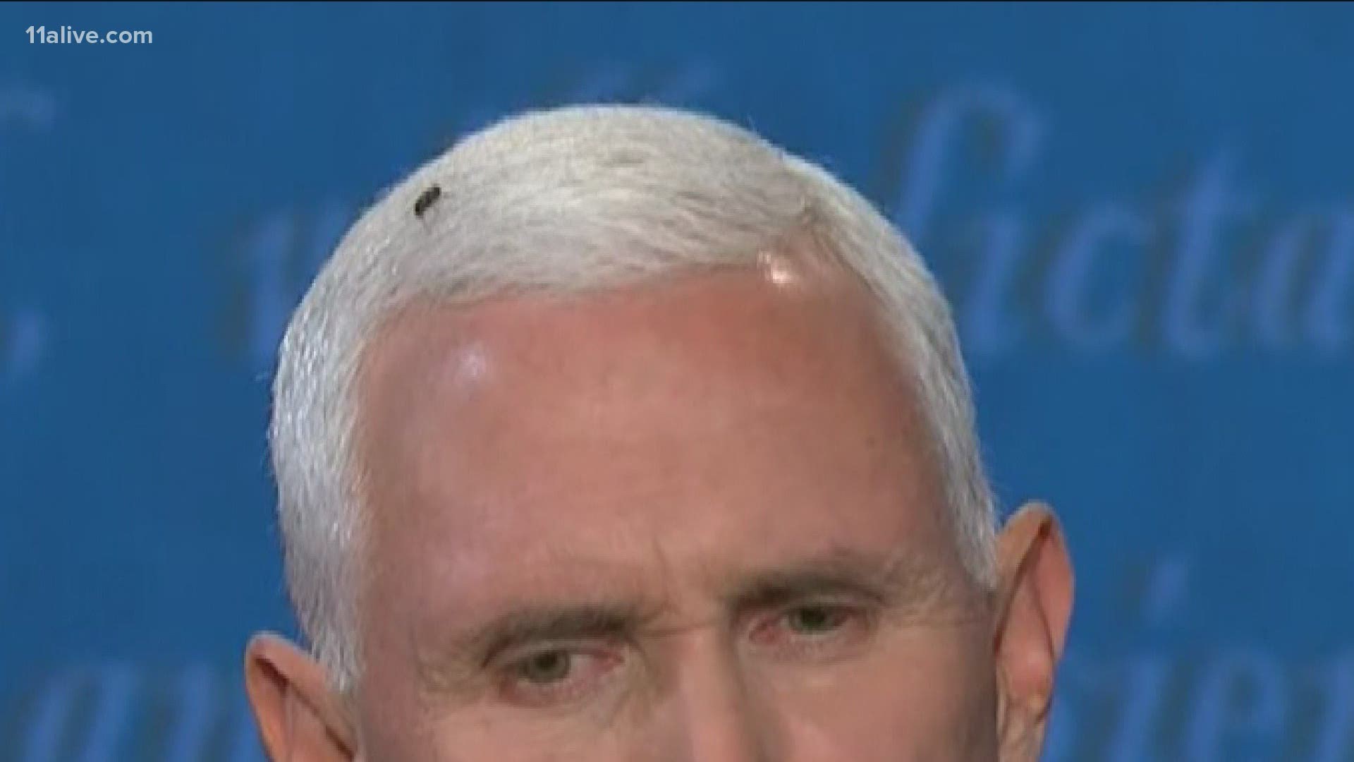 The Fly In The Room Bug Lands On Mike Pence S Head During Debate