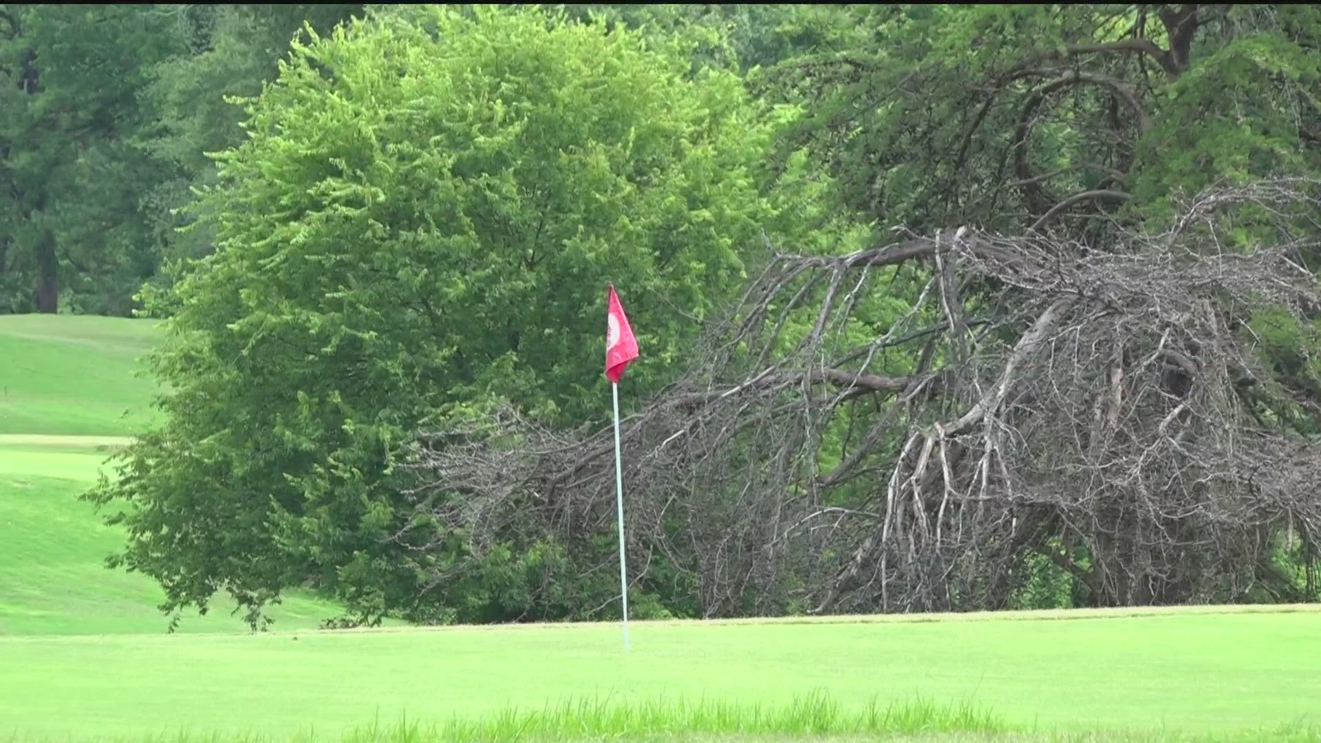Overgrown and unkempt, golfers say it's been tough to play.