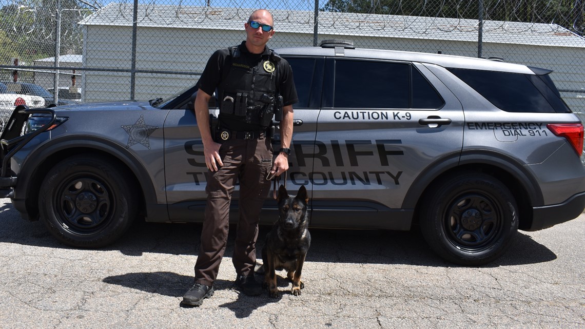 Troup County Sheriff's Office K-9 | Max joins, Stella retires | 11alive.com