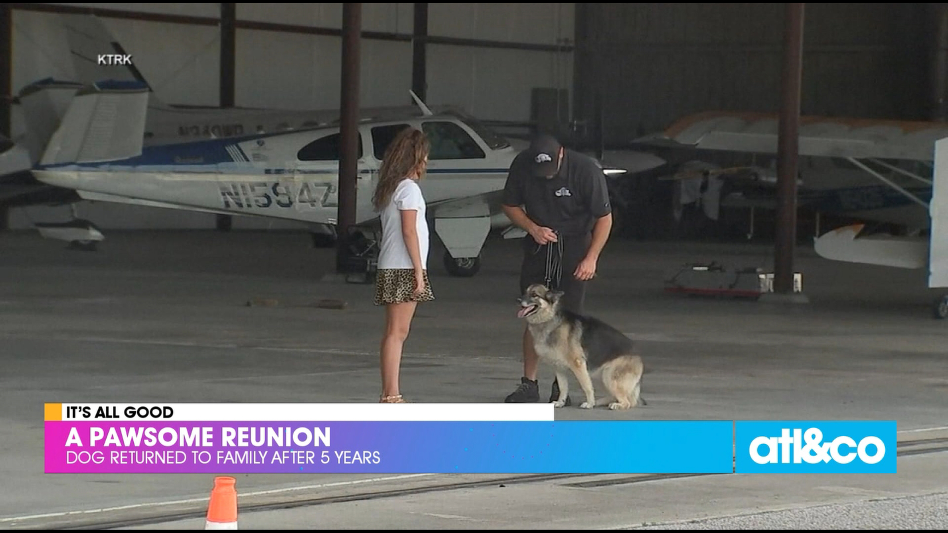 What a reunion! A German shepherd named Sheba returned home after nearly 5 years away.