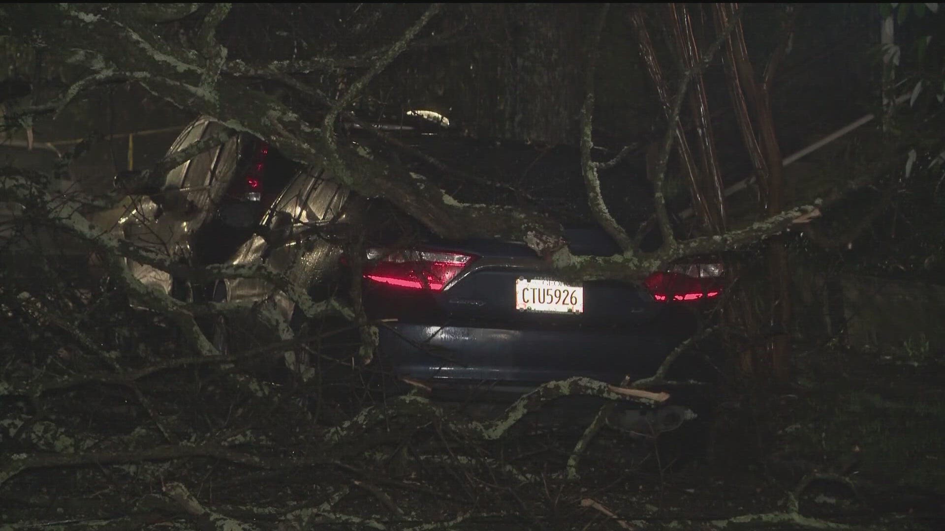 11Alive's Tresia Bowles gives insight on what to do with fallen trees in the aftermath of a storm after heavy rain moved through metro Atlanta on Wednesday.