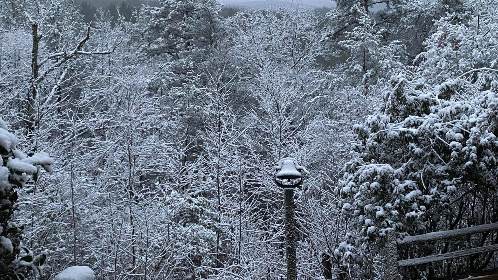 Snowing In Georgia Snow fall in north Georgia on Monday morning | 11alive.com