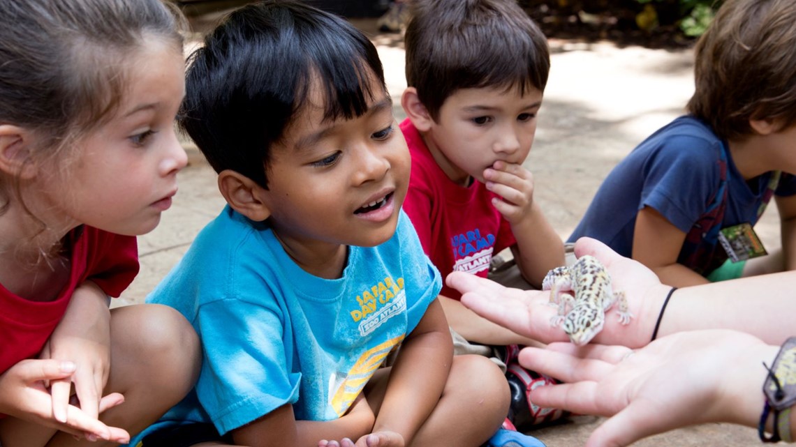 Zoo Atlanta is offering a scholarship for its summer camp