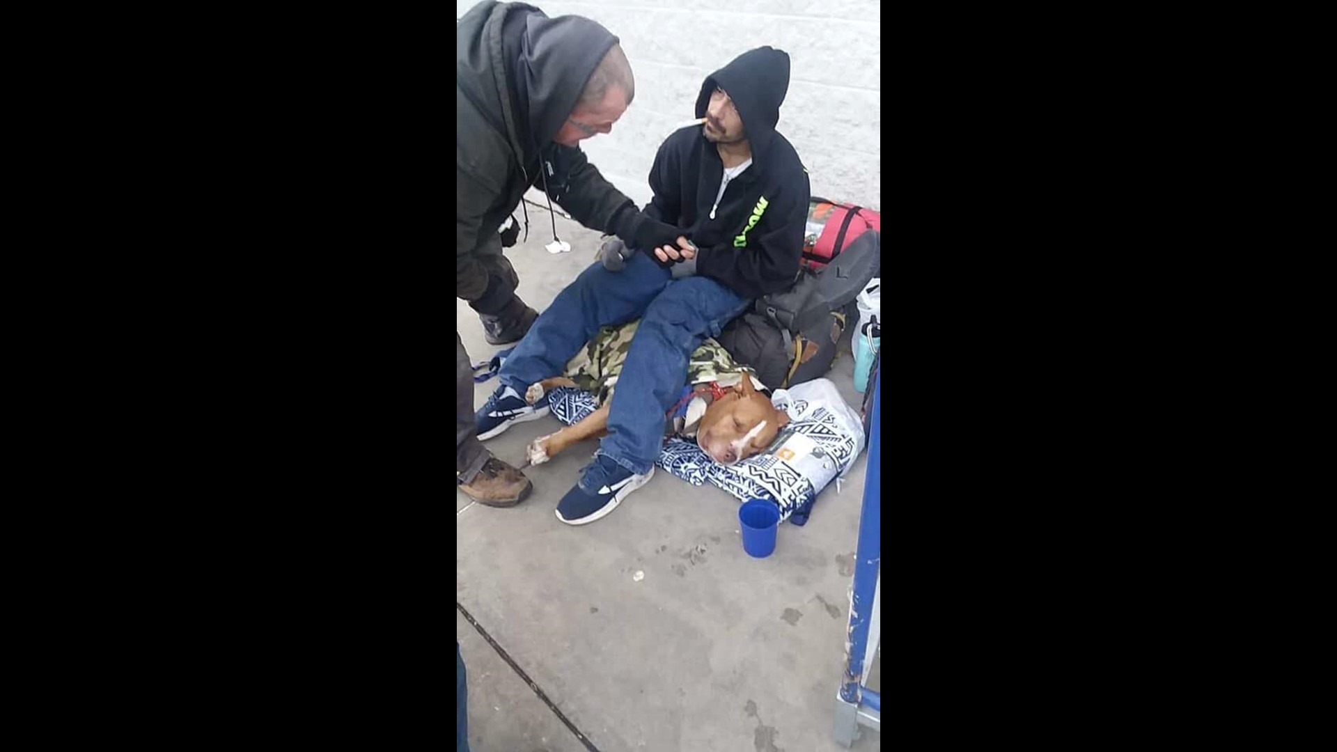 Dog bitten by snake to protect homeless owner | 11alive.com