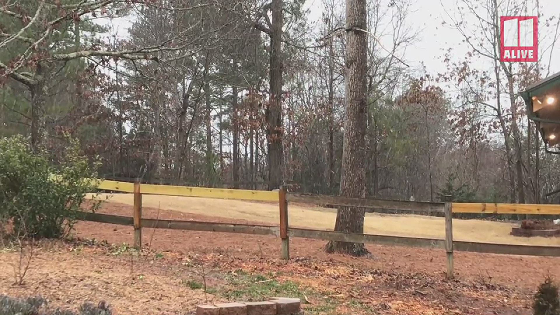 11Alive's Pete Smith shared this video of snow in the Flowery Branch area of Hall County on Saturday, Feb. 6, 2021.