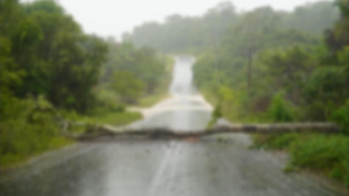 56-year-old identified as person killed in Georgia storms Saturday; GSP says tree fell on car