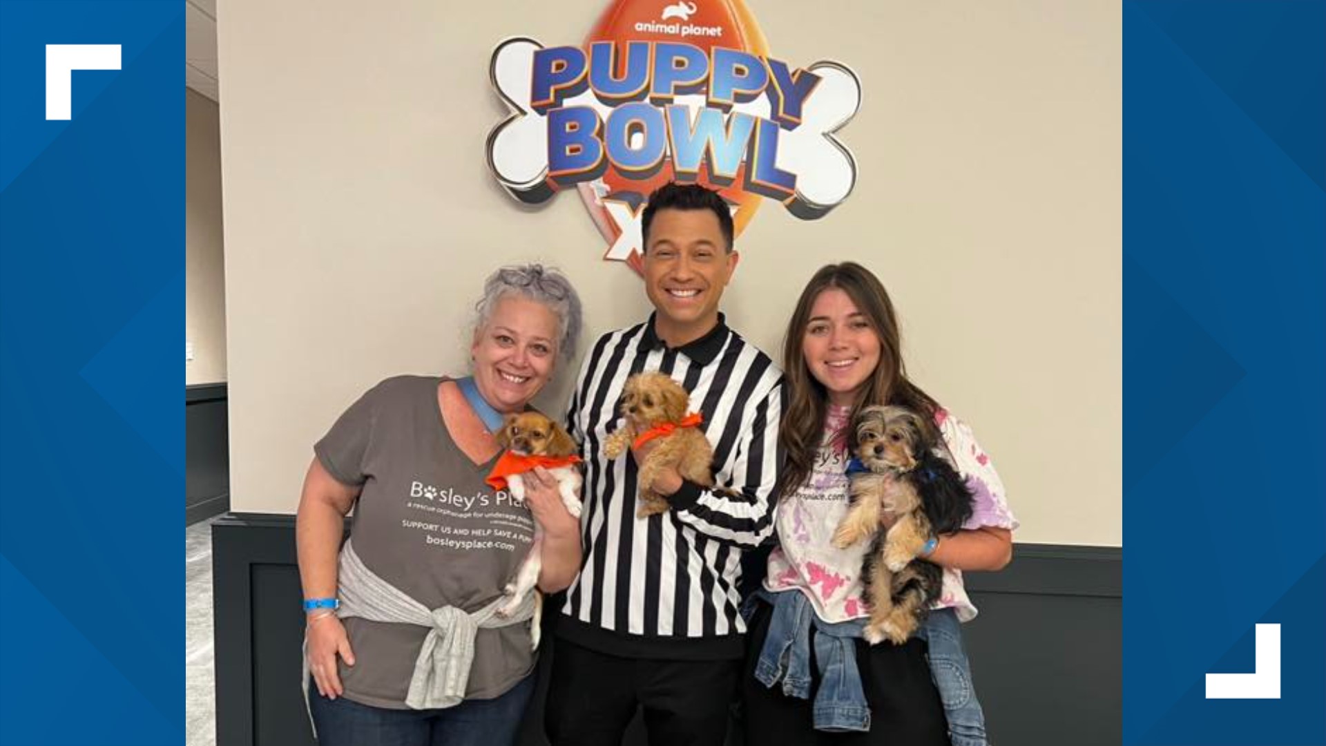 Ga puppies in Puppy Bowl 2024