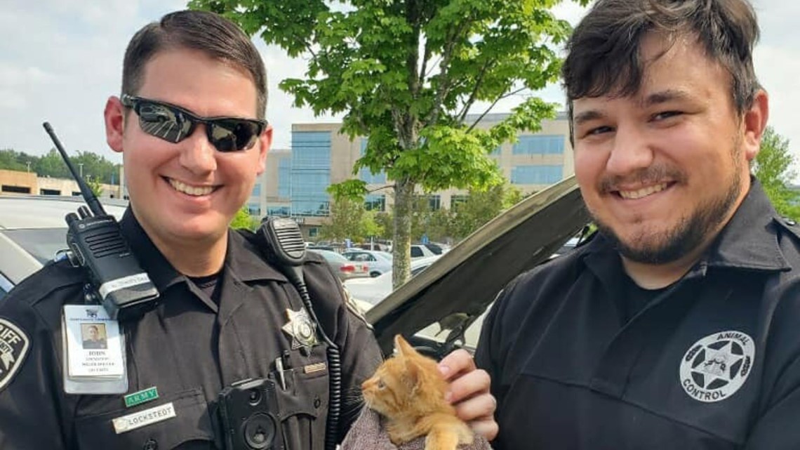 Officer Saves Kitten From Jeep Engine, Then Another Adopts Her