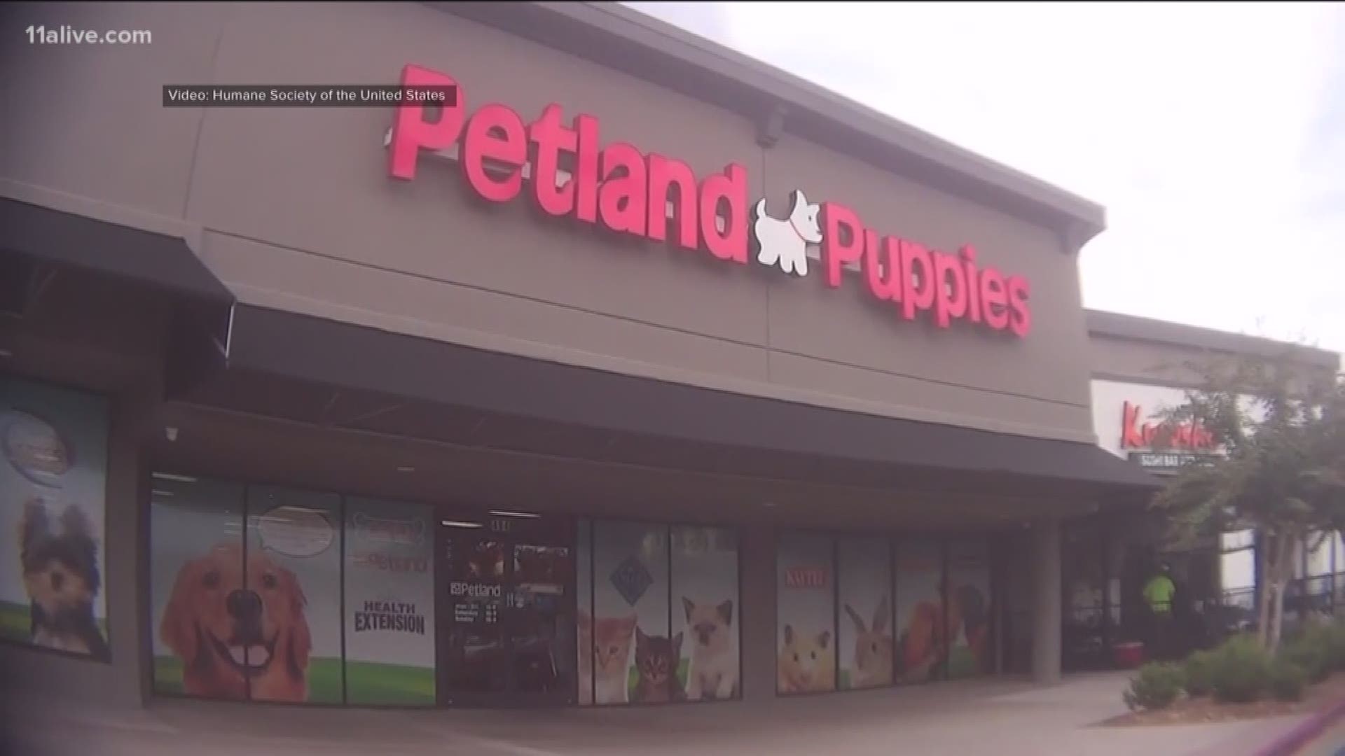 The Humane Society claims Petland stores prioritize profit over animal welfare, but representatives for Petland said that is not the case.