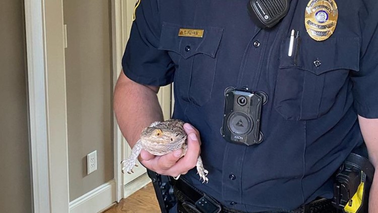 Brookhaven Police take small, scaly resident into custody