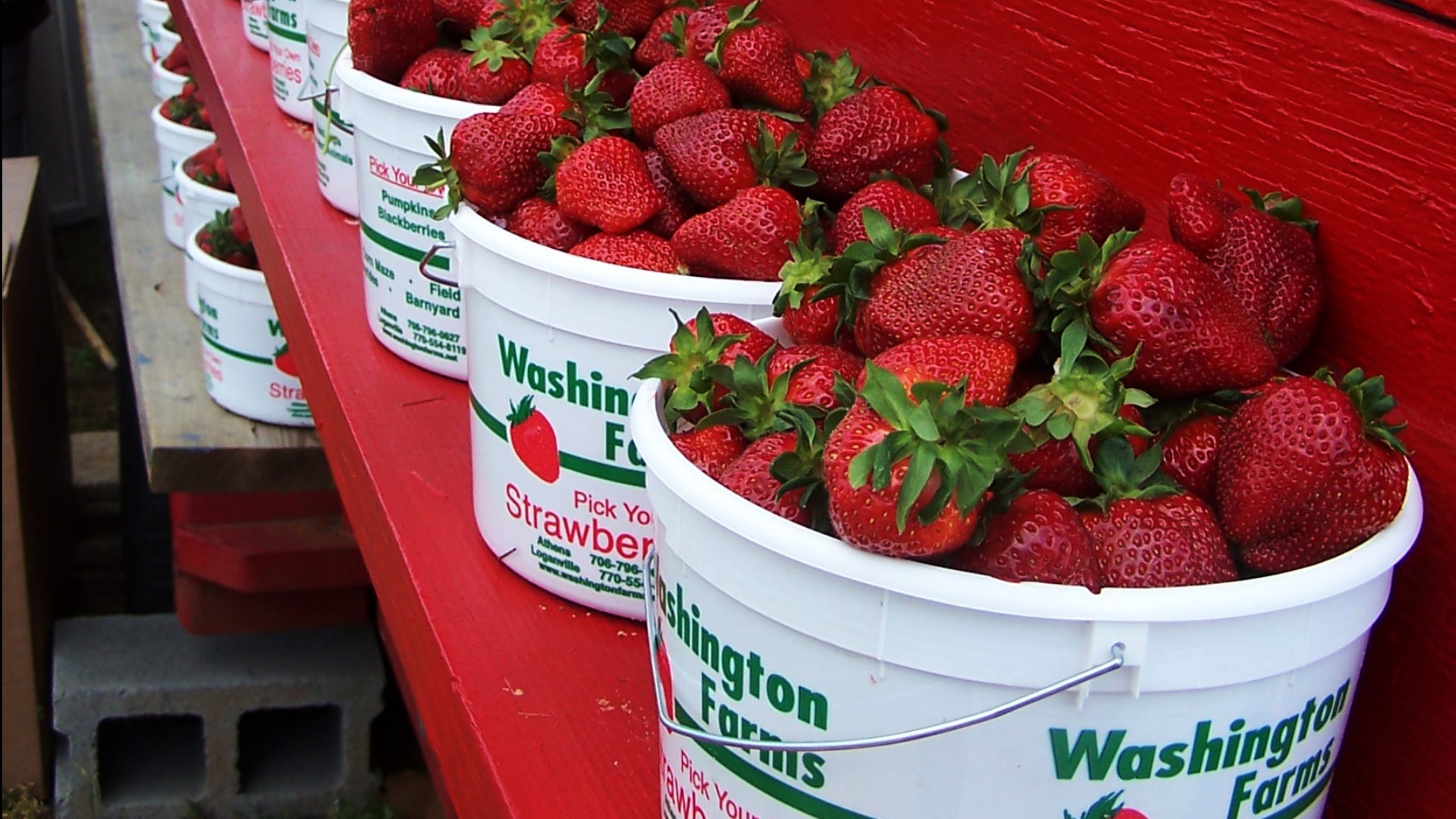 Washington Farms to stop growing strawberries after this year