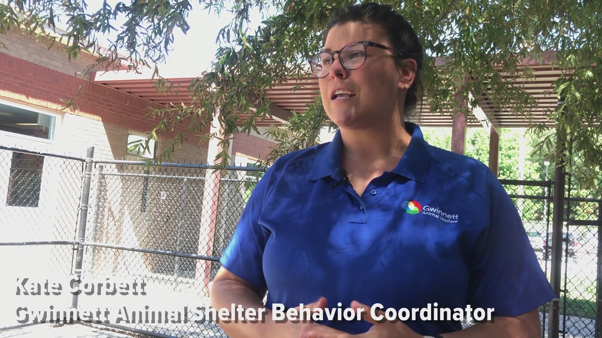 Video of Gwinnett Shelter behaviorist speaking about kennell anxiety.