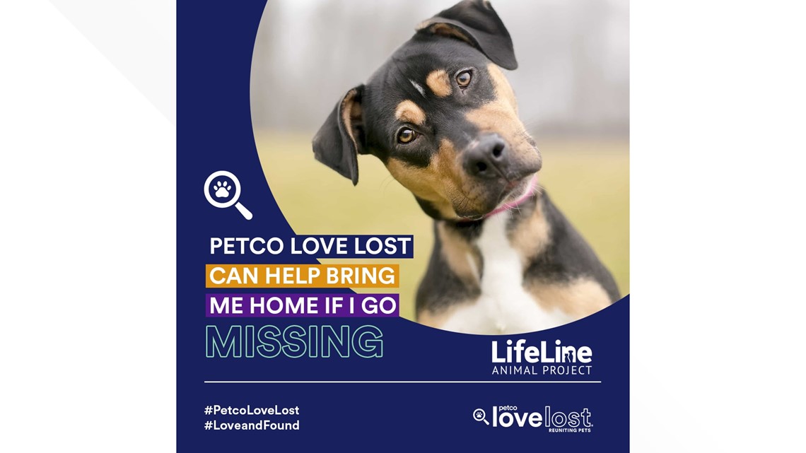 Petco Love Lost uses facial recognition technology to find lost cats and dogs in Atlanta