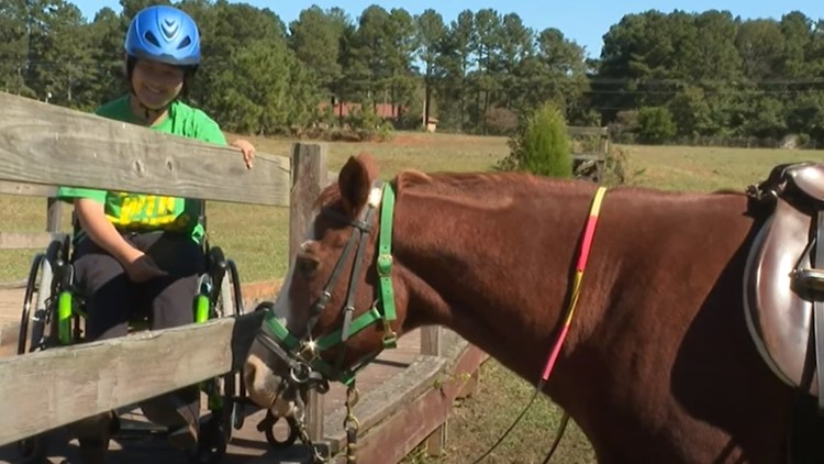Therapeutic horse camp for those with disabilities could be forced off land in Palmetto