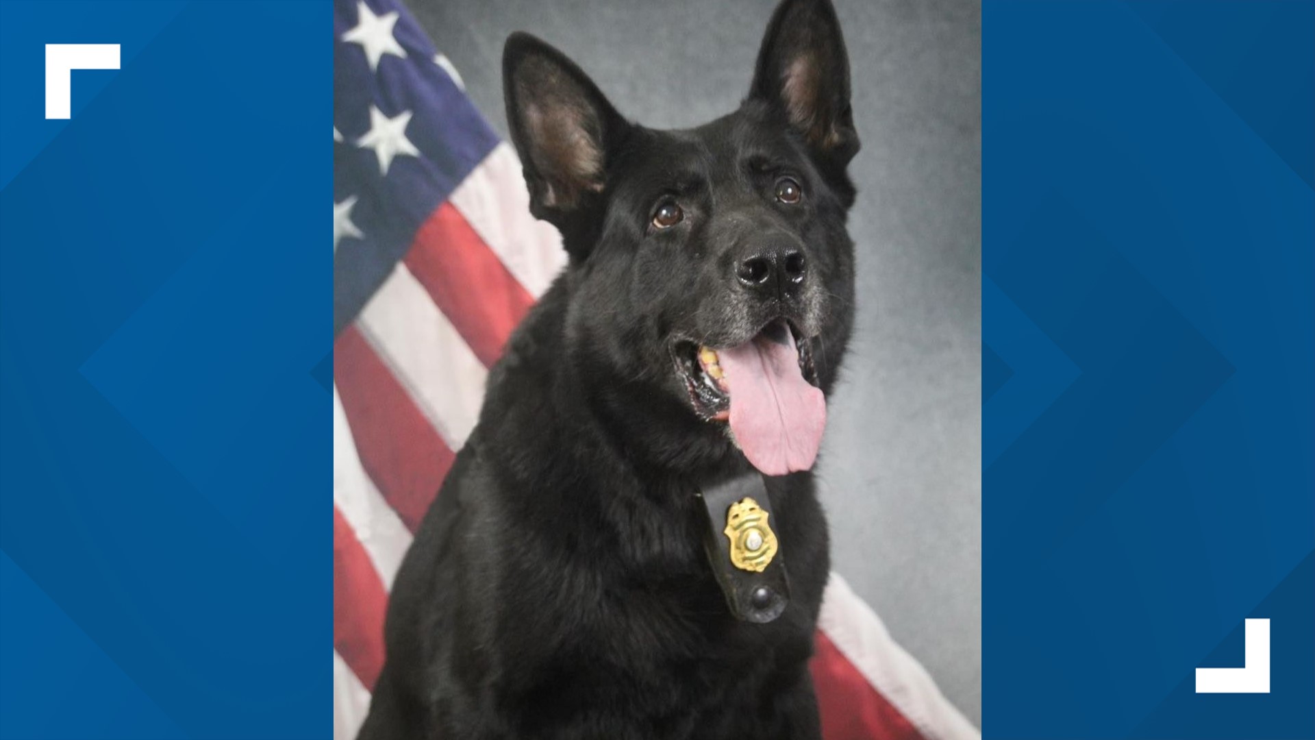 Georgia DNR's Law Enforcement Division announced "with a heavy heart" Thursday the passing of K-9 Rio.