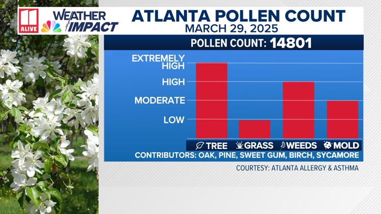 Atlanta pollen count hits all time record high Saturday March 29