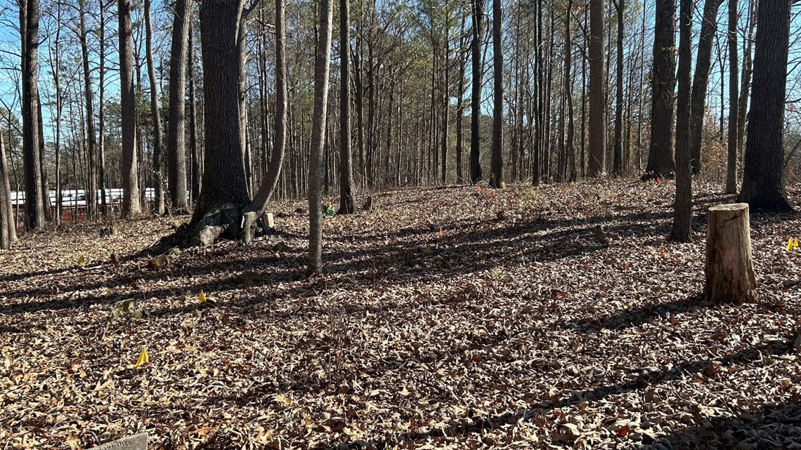 Cobb County seeks help with historic African American cemeteries - Vimarsana News