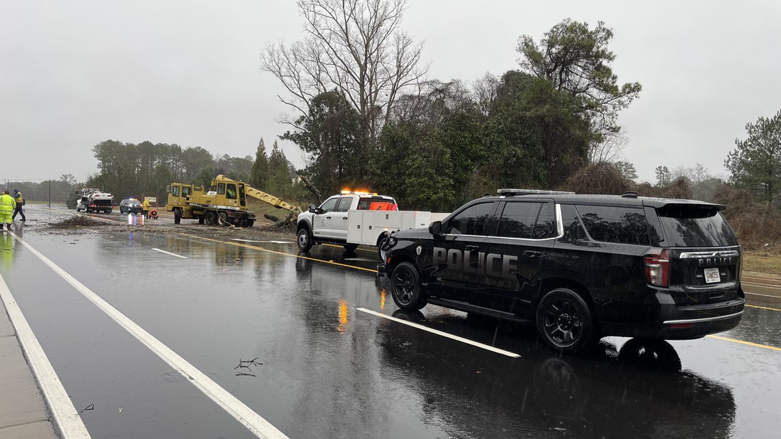 Atlanta weather damage: Tree falls on car in Clayton County wreck - Vimarsana News