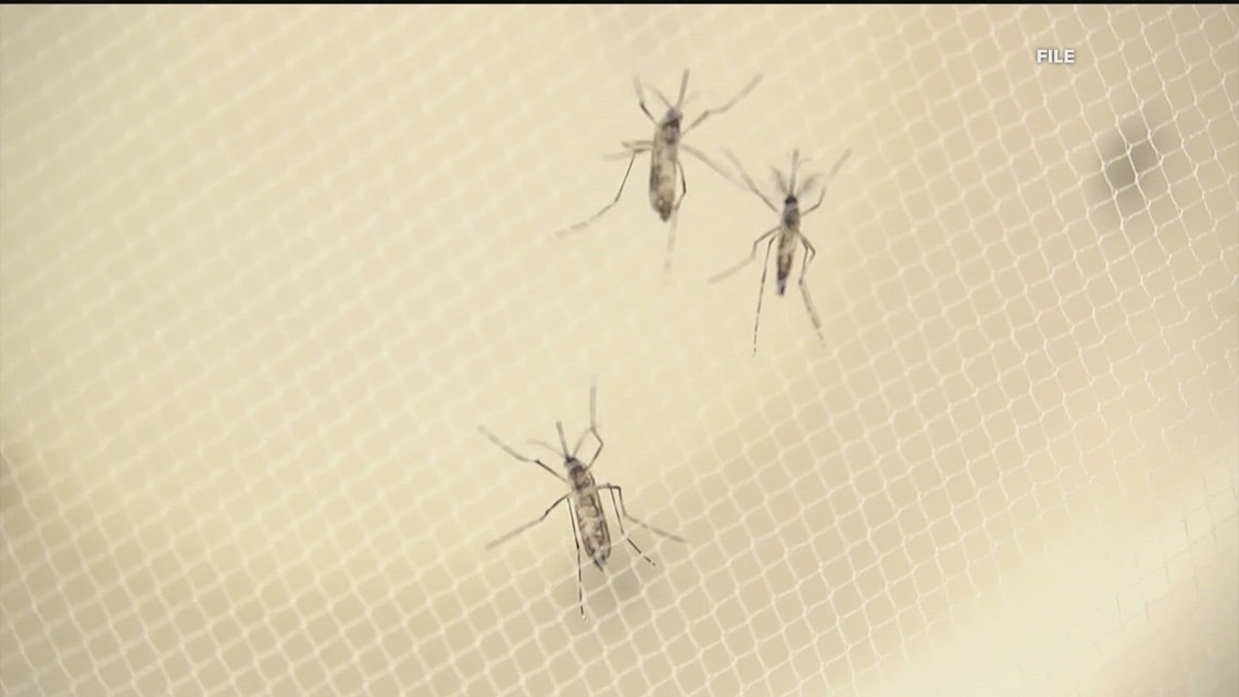 CDC issues warning about 'Sloth Fever' | Here's what to know | 11alive.com