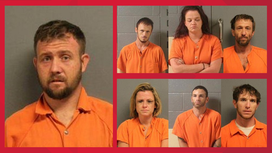 Lumpkin County deputies fend off dog while making several arrests