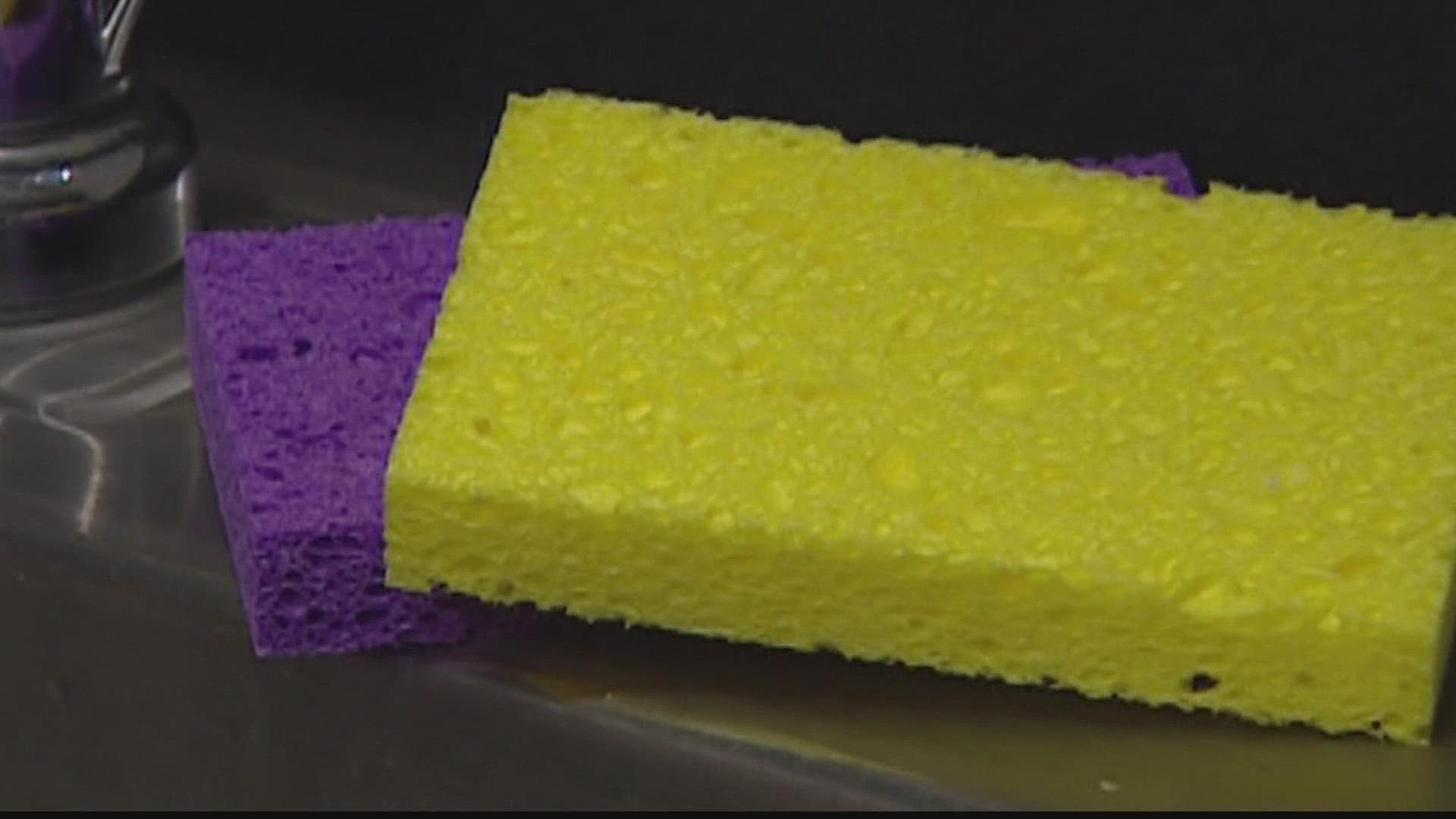 Why a dish sponge may hinder your cleaning: study