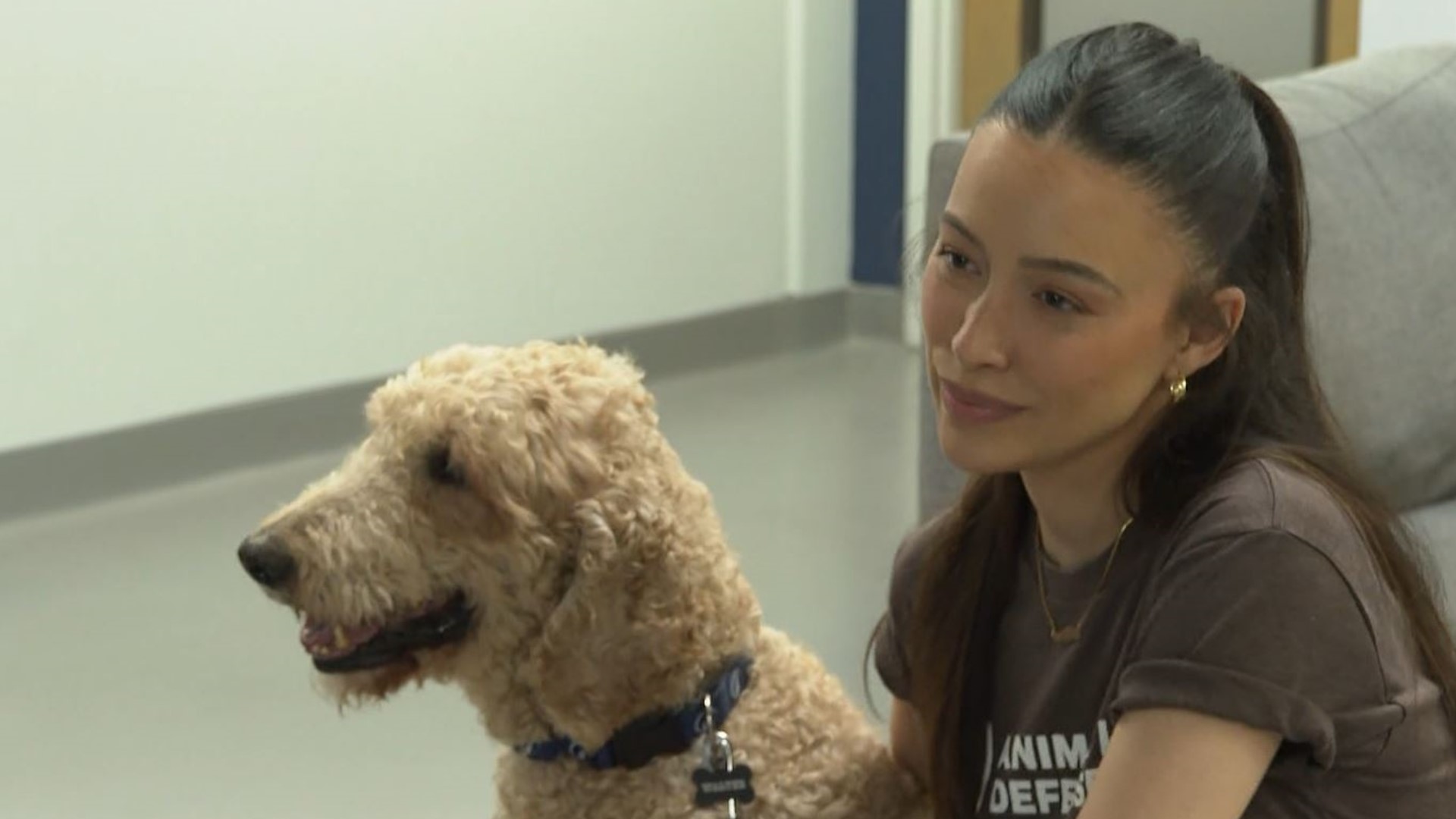 The senior dog was rescued along with more than 50 dogs, at least two cats, several chickens and horses, Fulton County rescuers explained to Christian Serratos.