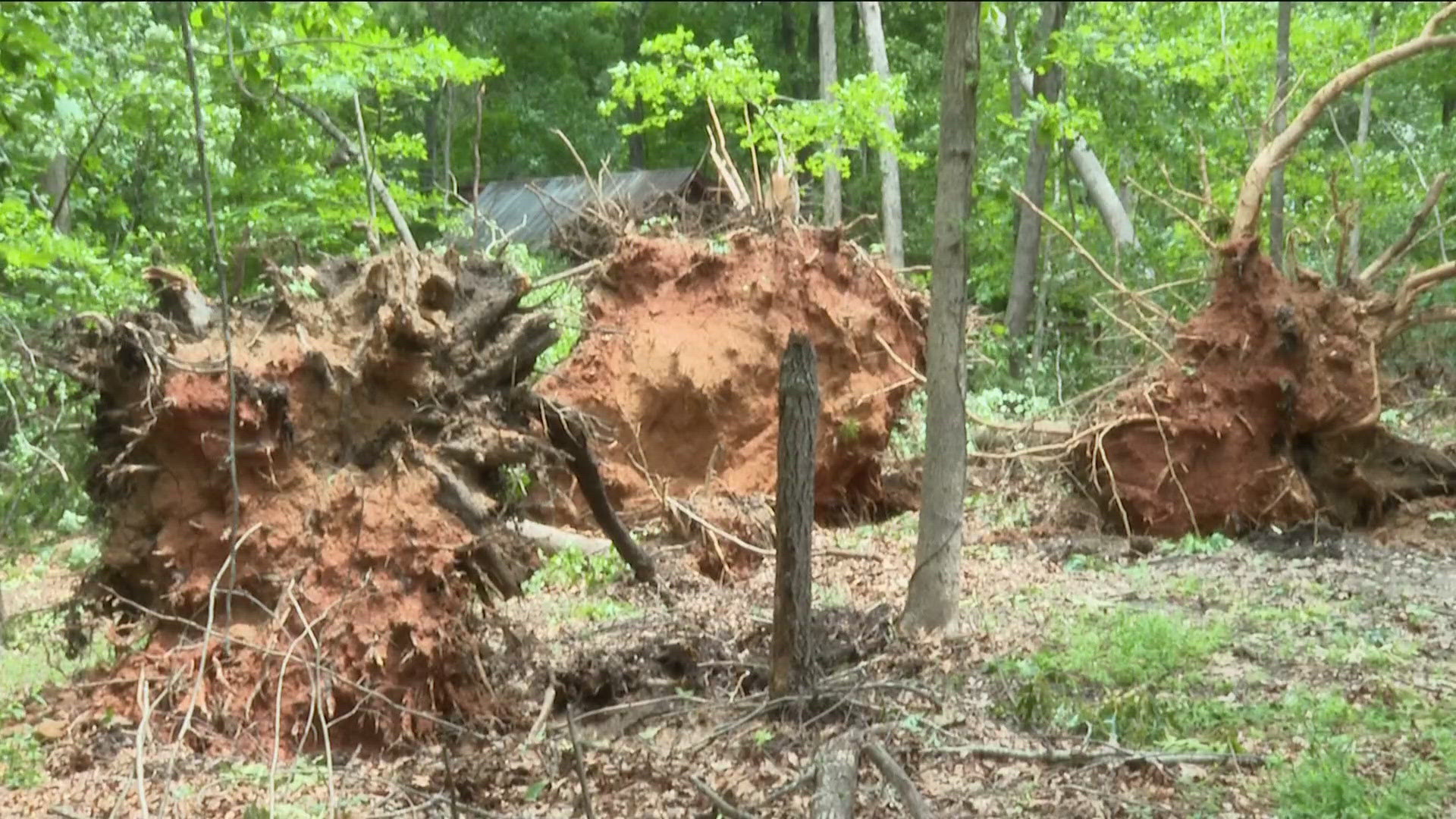 Cleanup continues in metro Atlanta following Saturday's storms ...