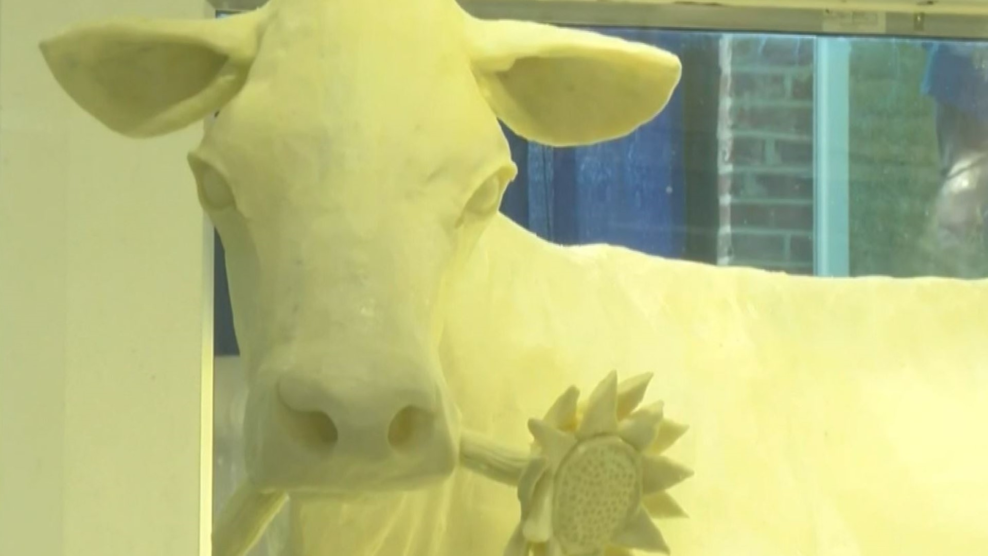 The Illinois State Fair unveiled this year's Butter Cow.