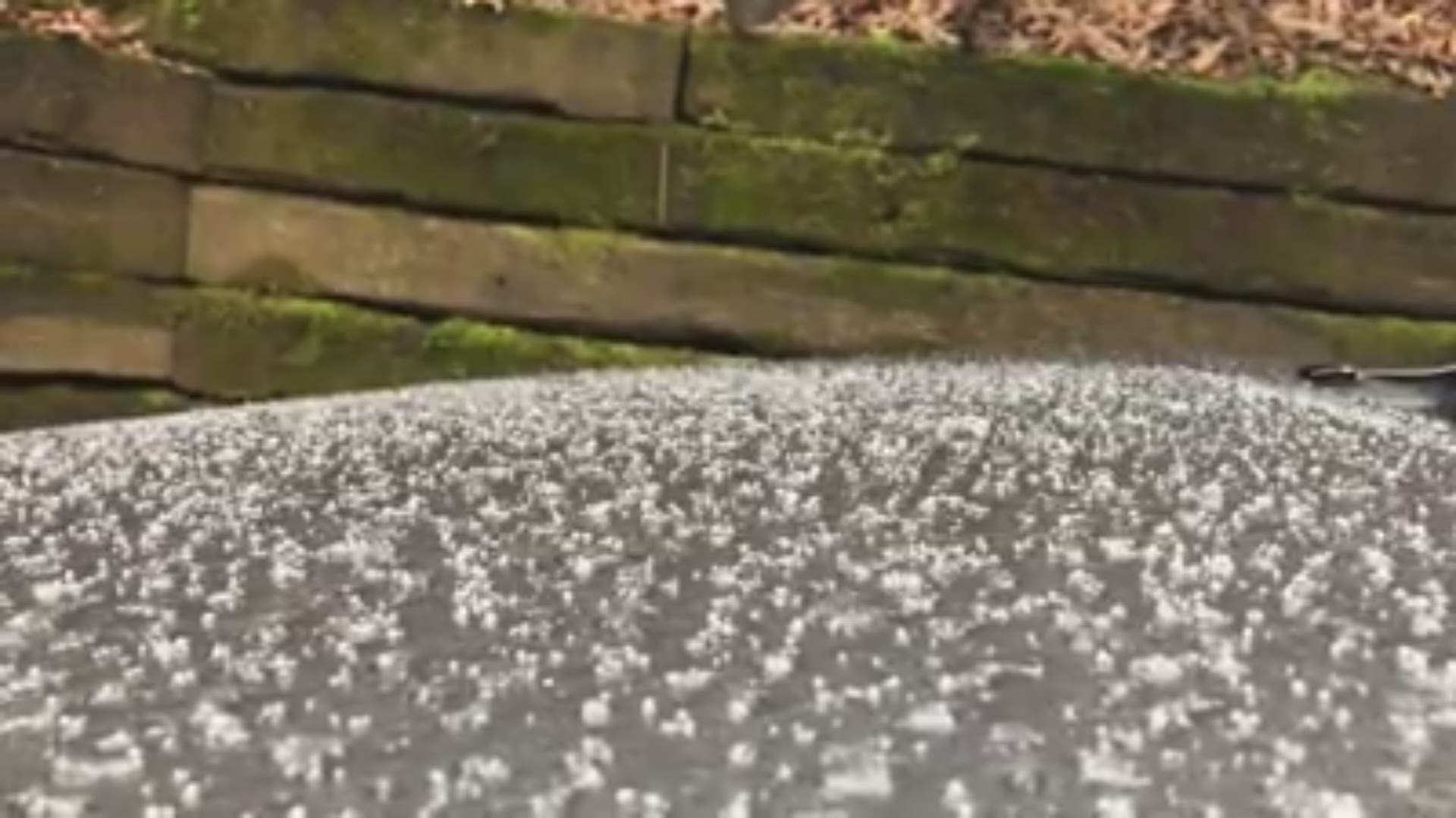 Scott M. Anna sent us this video of sleet falling on his deck in Blairsville from Tuesday morning, Feb. 19.