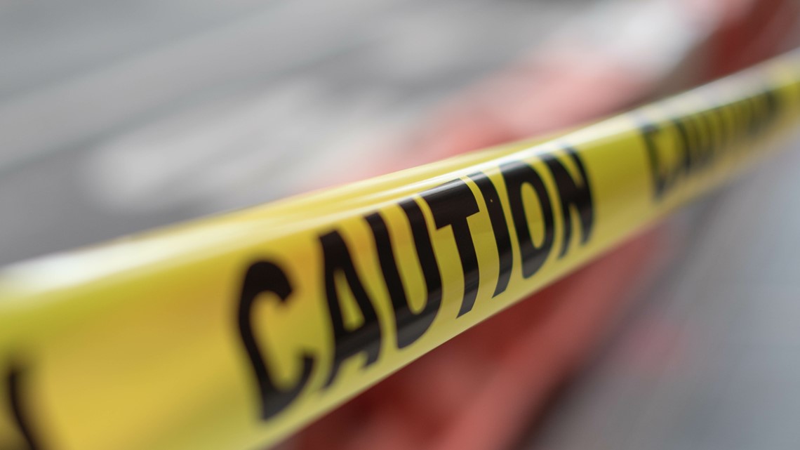 Georgia Thanksgiving deadly car crashes - Vimarsana News