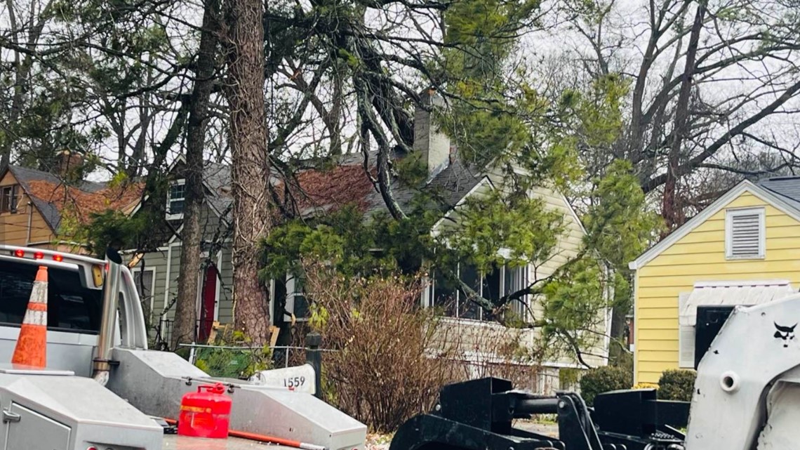 Large tree falls on Atlanta home during Saturday storms | 11alive.com