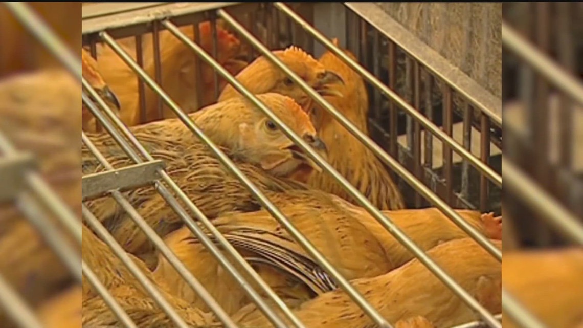 CDC ends emergency response to - Ec3afe01 Ab70 45f5 A5bd 267bb7a18cc6 1140x641 