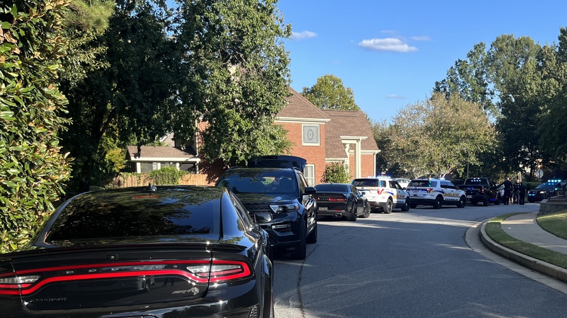 Brookhaven Police chase stolen leaf blower police tracked air tag - Vimarsana News