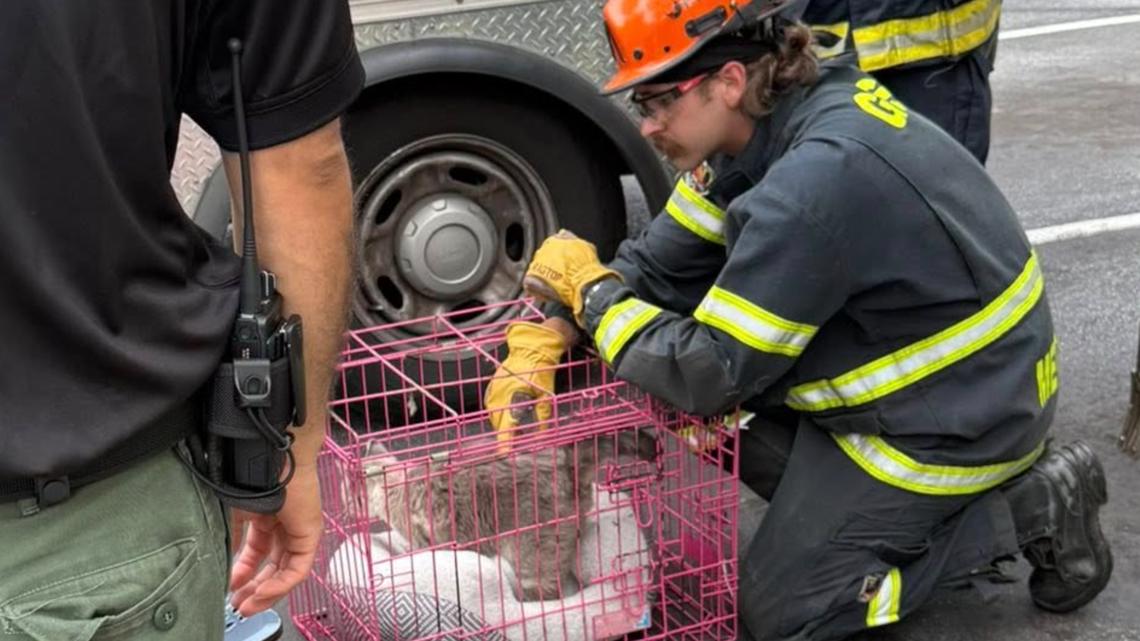 Chamblee mayor says some residents reunited with pets after apartment building catches fire