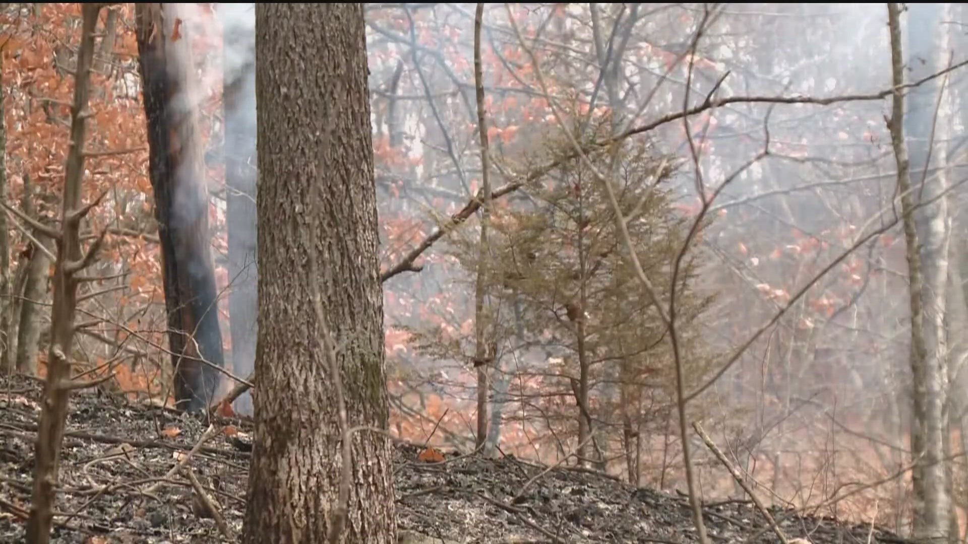Firefighters have been fighting fires in north Hall County throughout the day.