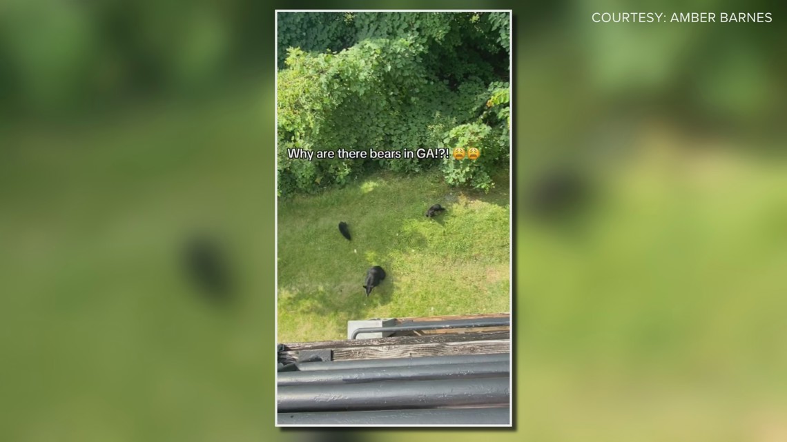 Mama bear, cubs seen moseying around Marietta apartment complex