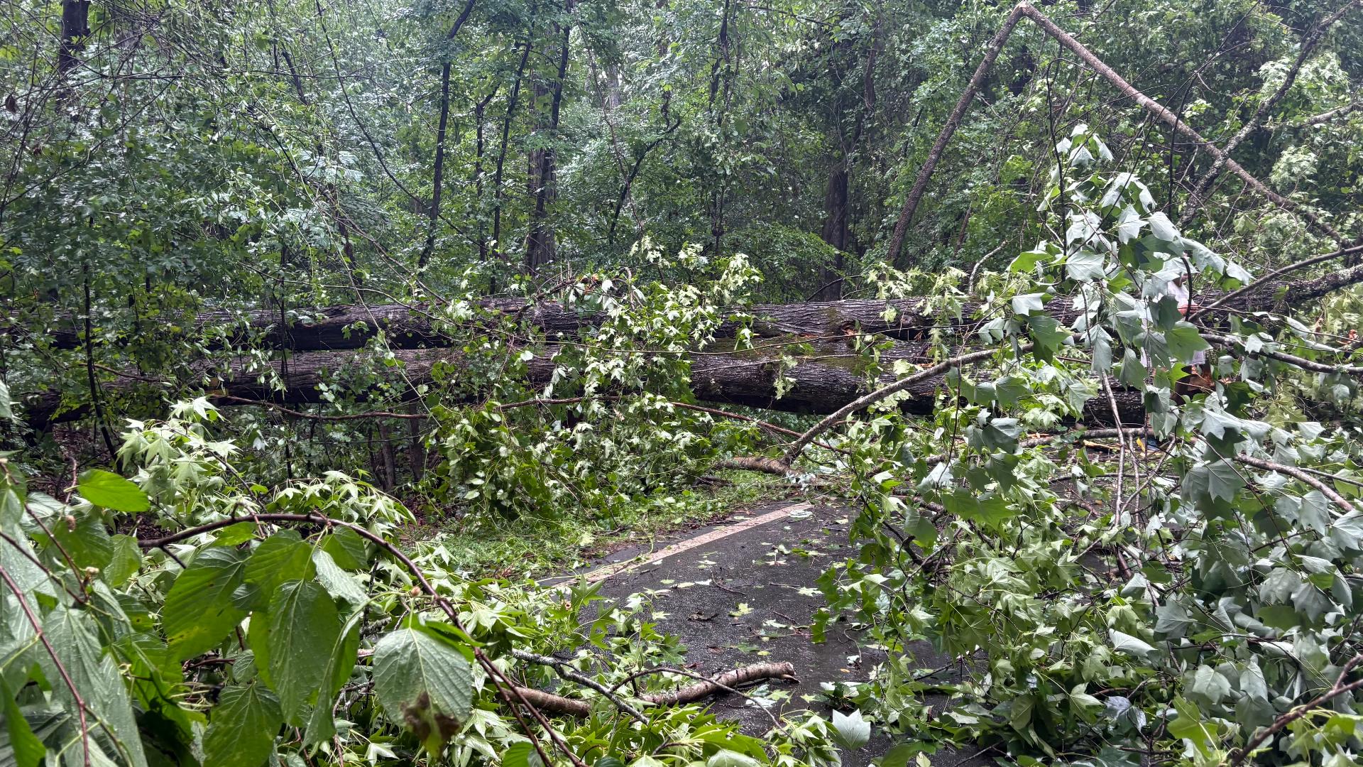 Georgia man crashes into fallen trees during severe storms | 11alive.com