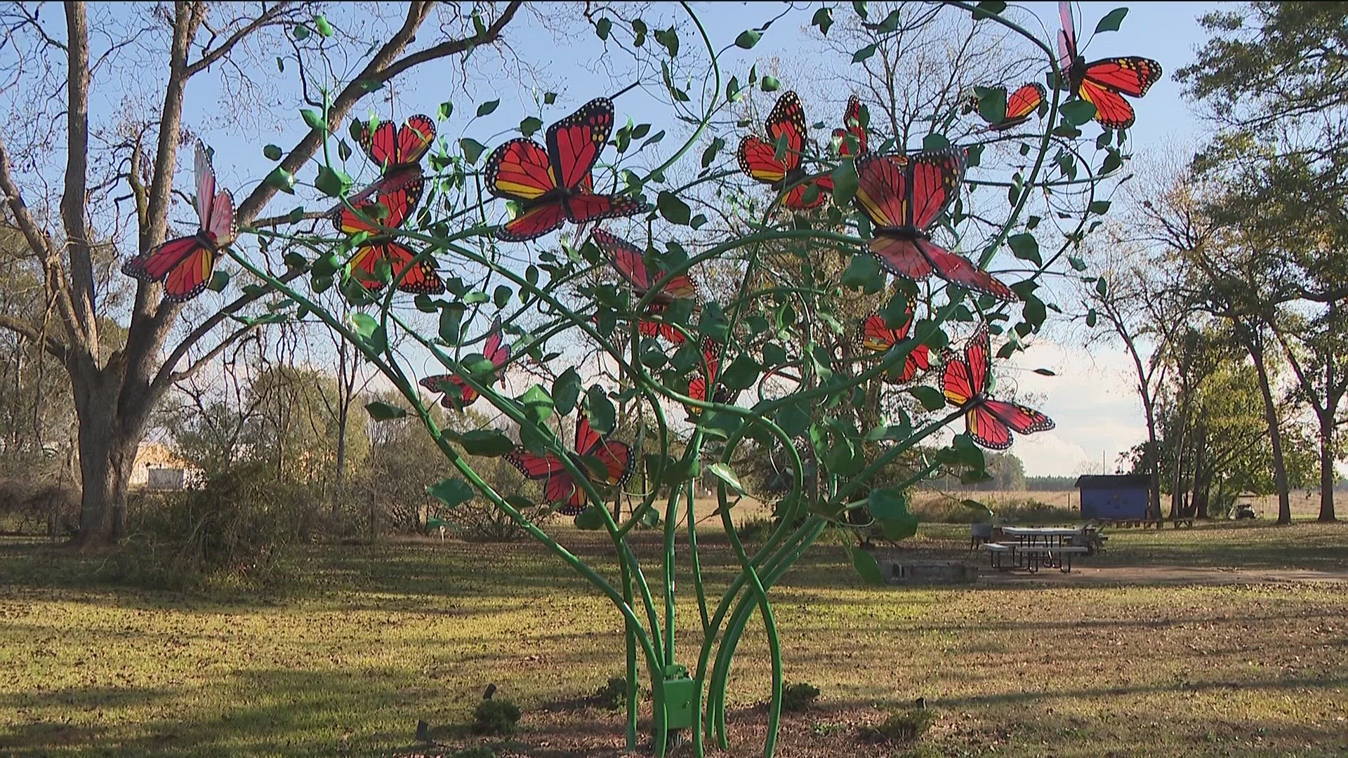 The garden is connected to the Rosalynn Carter Butterfly Trail that runs through Plains.