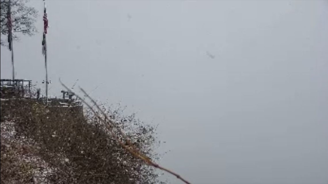 Georgia snow live streams | Watch - Vimarsana News