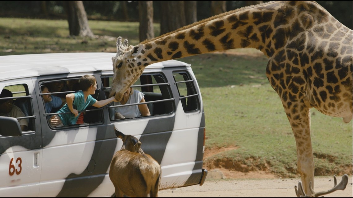 Wild Animal Safari to reopen following tornado