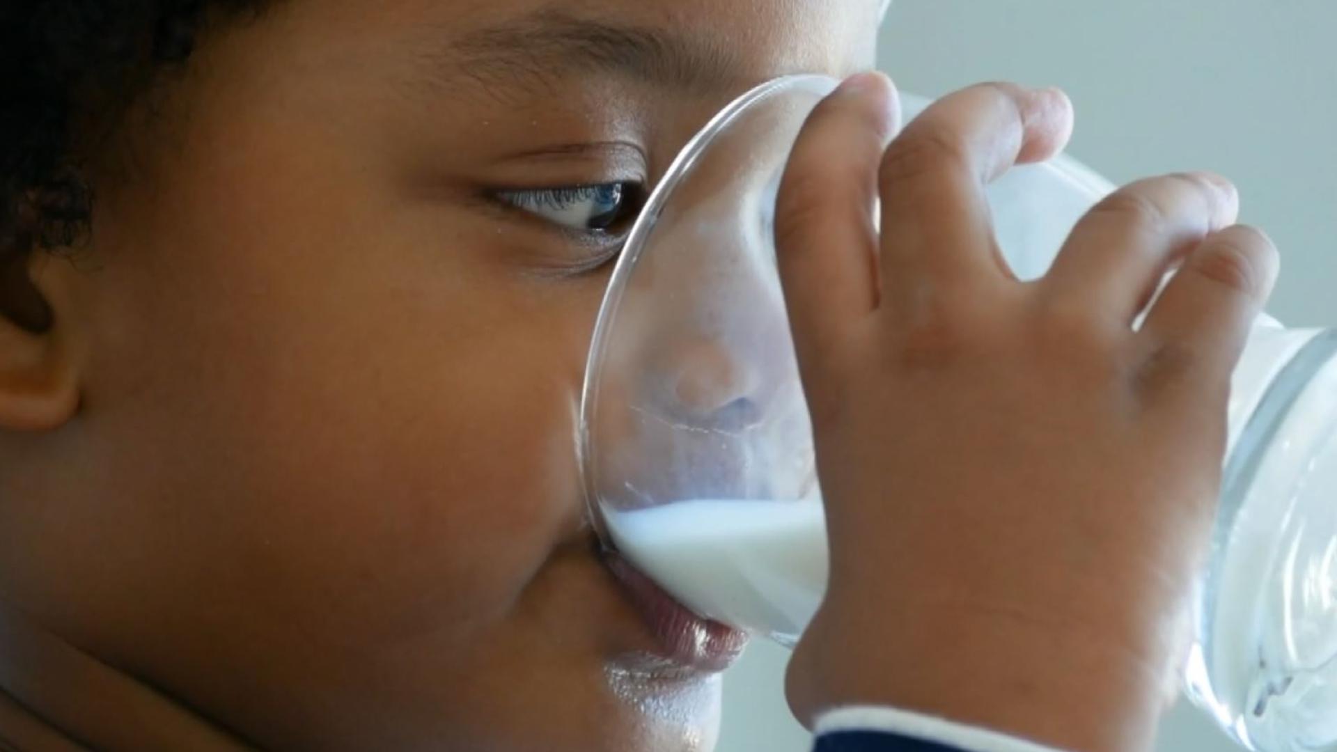 Besides essential vitamins and minerals, there might be something else in milk that's not good for you.