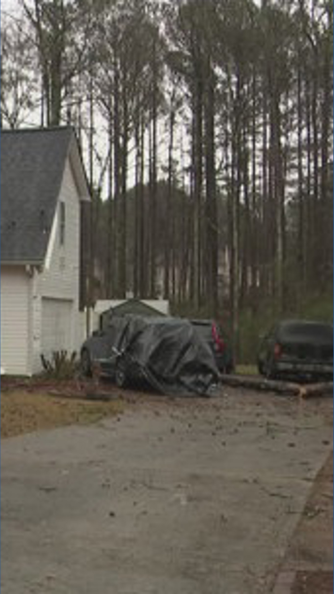 Man hospitalized after tree falls on car | 11alive.com