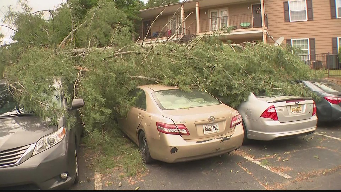 Large tree falls on several cars in DeKalb County