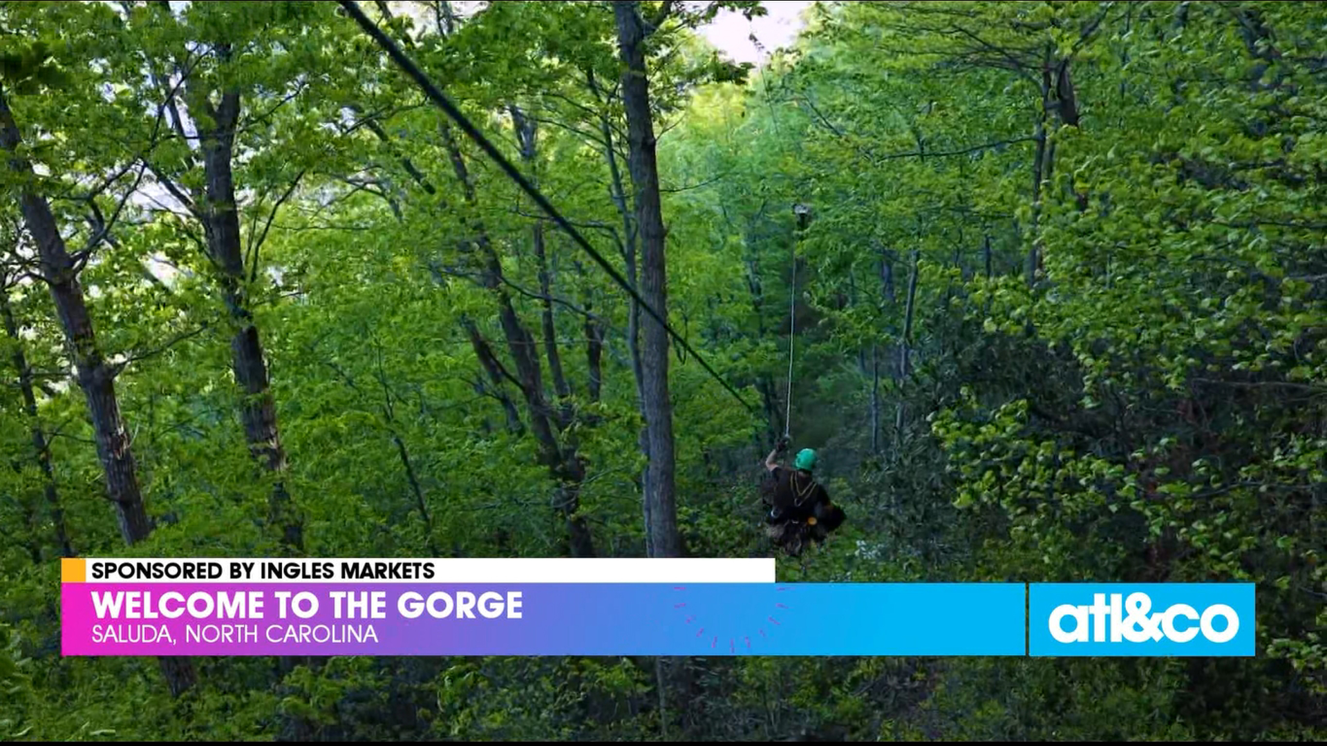 Enjoy a thrilling tree-based zipline canopy tour in Saluda, NC when you check out The Gorge with Ingles Markets.