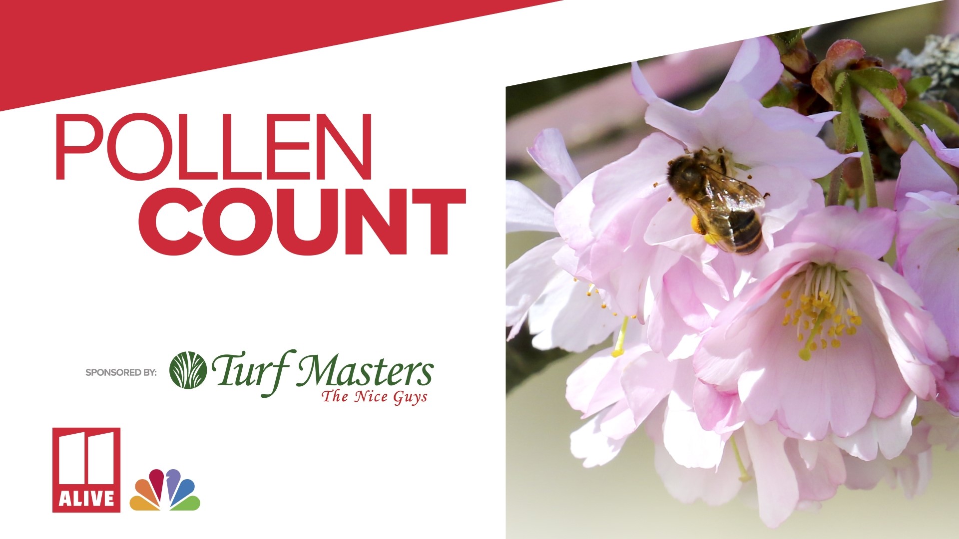 Tracking north Georgia's daily pollen count, sponsored by Turf Masters.