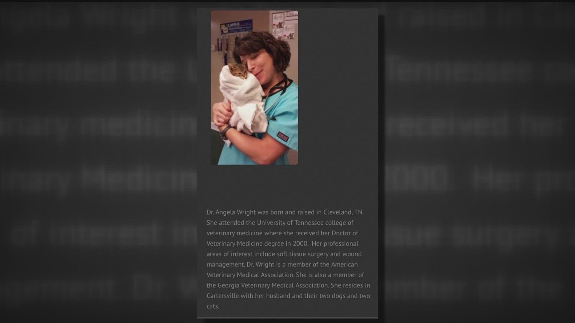 Multiple southeast animal rescue groups call for a Georgia veterinarian's license suspension after more than a dozen alleged botched surgeries