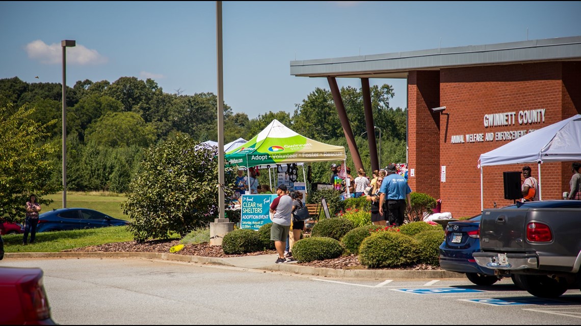Gwinnett County Animal Shelter successfully clears the shelter ...