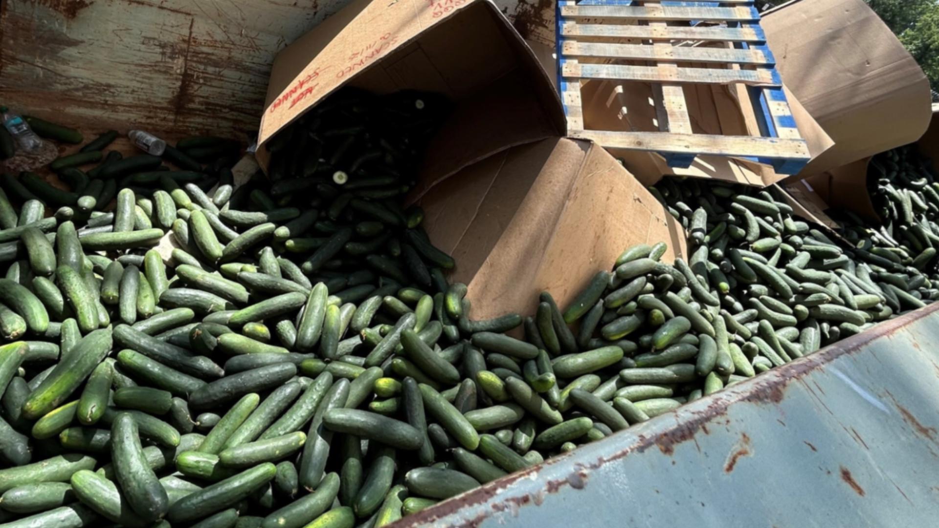 2 men sentenced after 700 pounds of meth found hidden in cucumber shipment in Gainesville