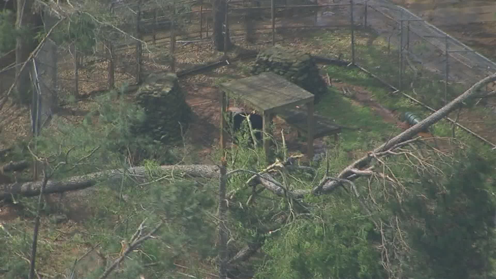 The tornado produced strong winds and uprooted many trees in the large safari space.